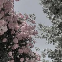 【　全部夢だった！　】＊全緩夢ハント