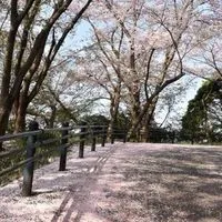 話し相手募集︎^_^50代60代
