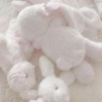 ꙳⋆꒰ঌ垢抜けたい子集合ˊ˗໒꒱⋆꙳