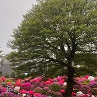 【首都圏】軽登山／街歩き／料理／花火／ボドゲ Jambo Cultural Adventures