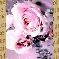 √Spring：蝶よ花よ【 イ チ ブ 🎀 化 ⌒ enst特殊 】