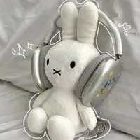 背景・アイコン画像交換オプ