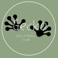 Gecko volleyball（243cm）