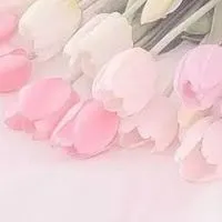激ゆる‼️　全緩也ハント　‼️