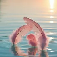ゆるりんメンタルCOCO𝚛𝚘𝚘𝚖