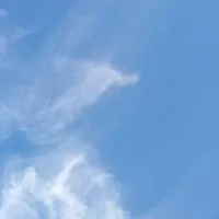 ❦~垢抜けオプチャ~❦