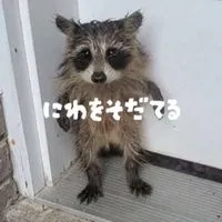 庭を育てる 100人で10兆配布！