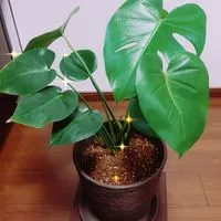 何でも相談できる場所