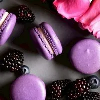 ♬.*ﾟ🌈即承認❁⃘*.ﾟおとなの恋花 おとなの癒しラウンジ❁⃘*.ﾟꕀ⋆その先へ🚪