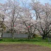 精神疾患のライブトーク部屋🚫未成年お断り