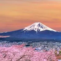 退職計画