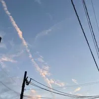 医学部医学科志望