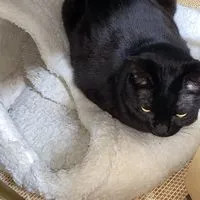 ハゲ頭のエンタメ業界オプチャ（27卒）