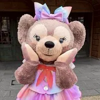 ⭐ディズニー大好き⭐女性限定⭐40代以上⭐5/29(木)オプチャが突然消えた方見つけて欲しい⭐