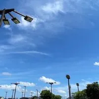 2025国スポソフトテニス鶴岡地区予選会