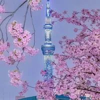 東北＆関東🌹女性限定🌹アラ還からの趣味と雑談