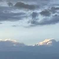 みんなのおぷちゃ。