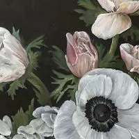 アネモネ；全緩夢ハント