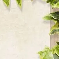 ☆*:.｡. 全国　40代からのお友達☆.｡.:*☆