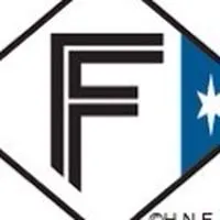 ファイターズトレカ 限定トレカ 共有