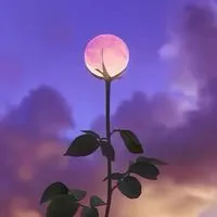 ️🫧大人の恋バナ雑談🌙*·̩͙その先へ💫⟡.·30代40代50代𓏸𓈒𓂃🫧