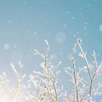 雪景色🧊連絡用