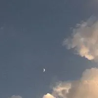 比翼連理：全也ハント