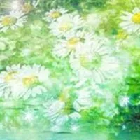 🌿この先どう生きるか🤭 50代60代～ 🏡