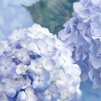 🌸新規𓂃𓂂ꕤ*.ﾟ✨40代～✨まったり雑談からはじまる癒しの毎日🫶🌹全国🌹