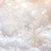 推し活SnowMan〜40代からの大人限定〜