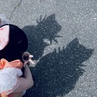 かわらぼるーむ