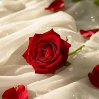 🌹大人雑談‪✰恋話✰ライブトークetc🌹わちゃわちゃお夏の秘密基地『未来飛行』