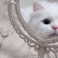 中高生のジャニヲタさん❕