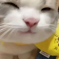 激緩緩な全也‼️