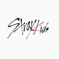 straykids スキズ hollow シリアル波 当選 報告