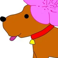かわさきおぷちゃ