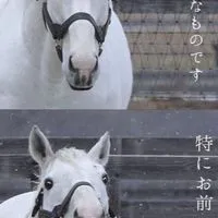 全緩ハント也‼️
