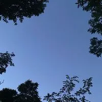 全緩ハント也‼️