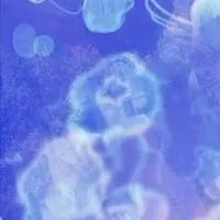 激 々 緩 い 全也 ‼️ ハントしろや ‼️ てぇてぇ を 見せろ ‼️