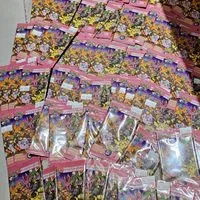 トレカコンパス改善ご要望（ポケカ）