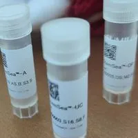 【ヒト幹細胞のある【陽氣😆】な暮らし🌿】始めませんか❓️😍