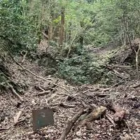 カワサキボランティアネットワーク　神戸登山道維持活動