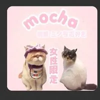 猫カフェmocha姫路店三ノ宮店好きさん繋がりましょ♥️女性限定