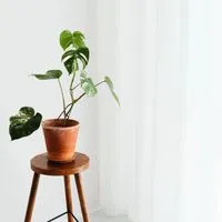 育休中に考えたい！ママの働き方お悩み相談ROOM☕️