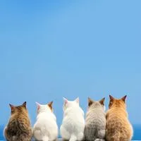 🌈30代から❣️ヒマな大人の雑談＆恋バナ🫶
