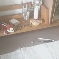 Study room this summer