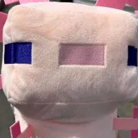 MBTI好きな人集合‼️