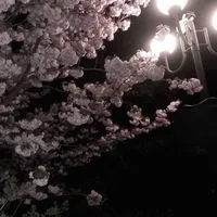 顔面ハント＊実況者・Ｖ・ＣＲ緩也