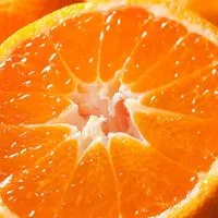 🍊大人の独身🍊30代40代50代🍊ライブトーク🍊楽しい雑談🍊素敵なオフ会🍊