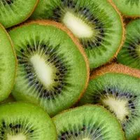 🥝北陸地方🥝地域交流🥝30代40代50代🥝楽しい雑談🥝ライブトーク🥝
